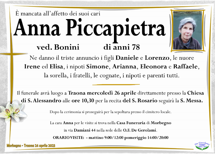 Anna Piccapietra: Immagine Elenchi