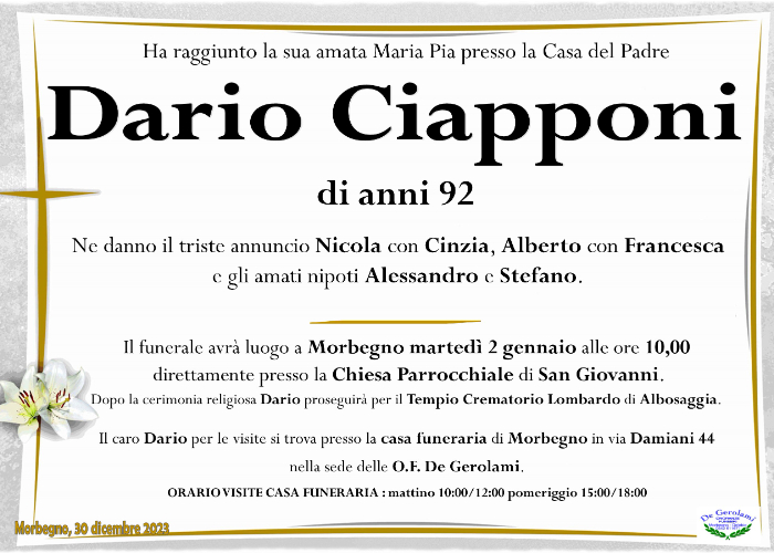Ciapponi Dario: Immagine Elenchi