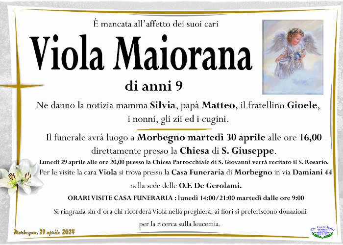 Maiorana Viola: Immagine Elenchi