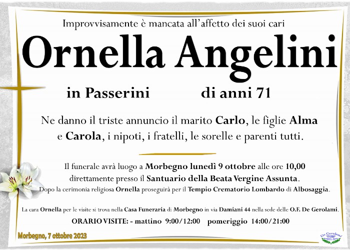 Ornella Angelini: Immagine Elenchi